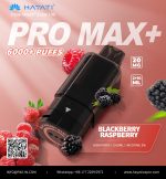 Hayati Pro Max + Pods 6000 Puffs 2% Nicotine - AUS - Image 2