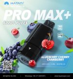 Hayati Pro Max + Pods 6000 Puffs 2% Nicotine - AUS - Image 6