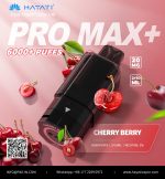 Hayati Pro Max + Pods 6000 Puffs 2% Nicotine - AUS - Image 9