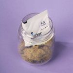 Integra BOOST Terpene Essentials Linalool Humidity - 4g Pack - Image 4