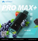 Hayati Pro Max + Pods 6000 Puffs 2% Nicotine - AUS - Image 21