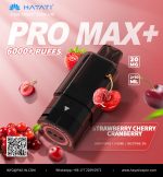 Hayati Pro Max + Pods 6000 Puffs 2% Nicotine - AUS - Image 18