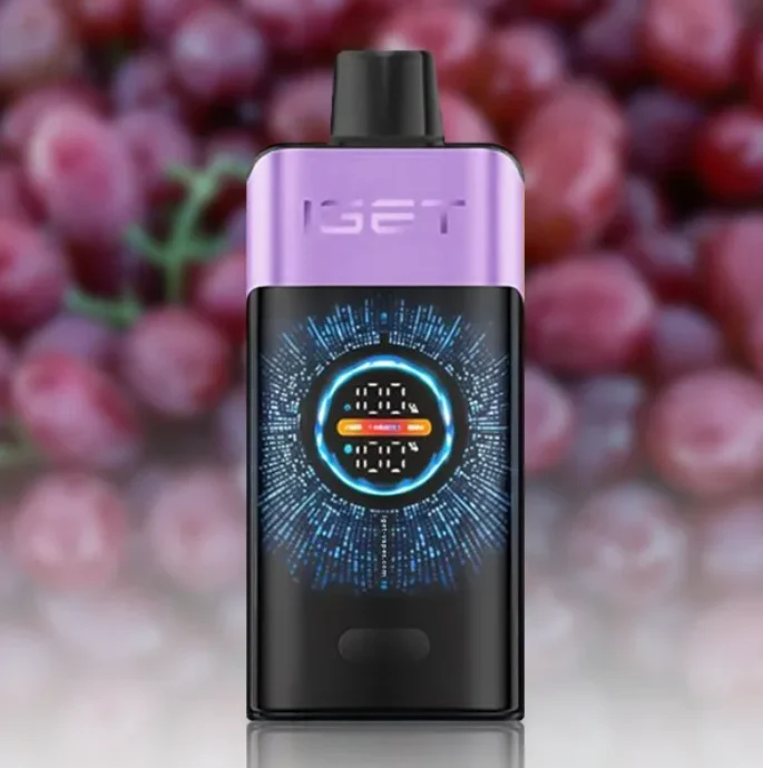 GrapeIce-1.webp IGET One 12000 Grape Ice - Image 1