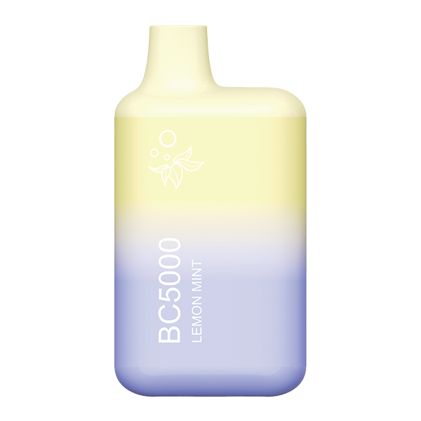 No-Name_Lemon-Mint_600x600_2af0eee8-e8c1-408b-9728-2ae86a76ba9d__08263.1782929125.png Lemon Mint BC5000 - Image 1