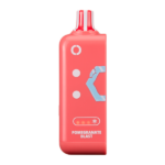 Pomegranate Blast Ice Off Stamp Ice Cube Replacement Pod