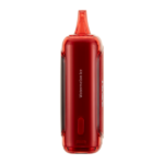 Watermelon Ice RAZ LTX 25000 - Image 3