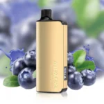 ALIBARBAR Ingot 9000 BlueBerry Blast