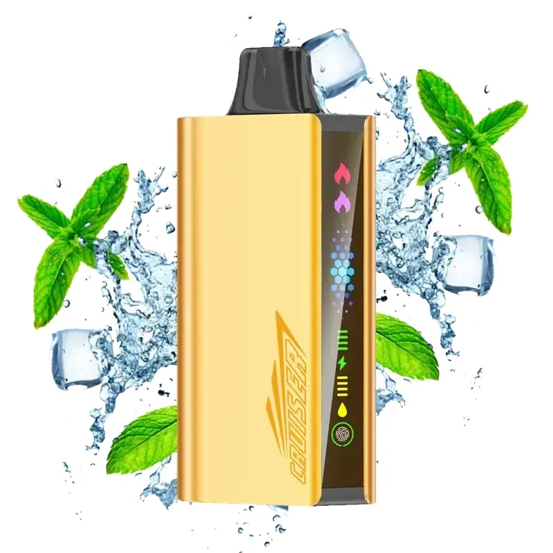 localcigsupply-83691.webp JNR Cruiser 12000 Cool Mint - Image 1